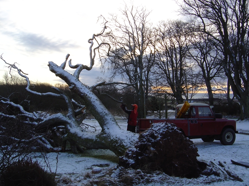 2nd february 2008 052